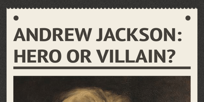 Was andrew jackson a hero or a villain