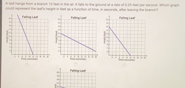 A leaf hangs from a branch 12 feet