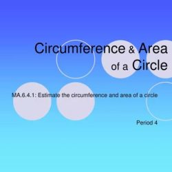 Area circumference & arcs coloring activity