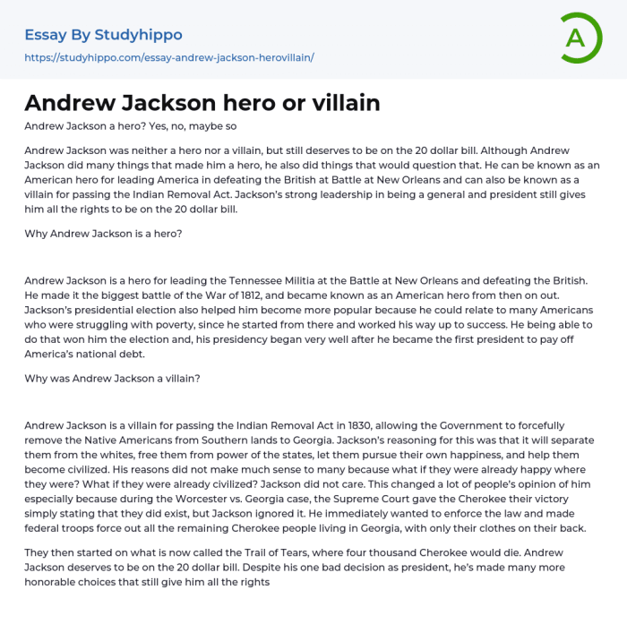 Was andrew jackson a hero or a villain