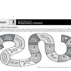 Worksheets on the respiratory system