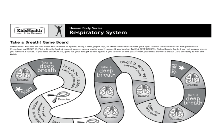 Worksheets on the respiratory system