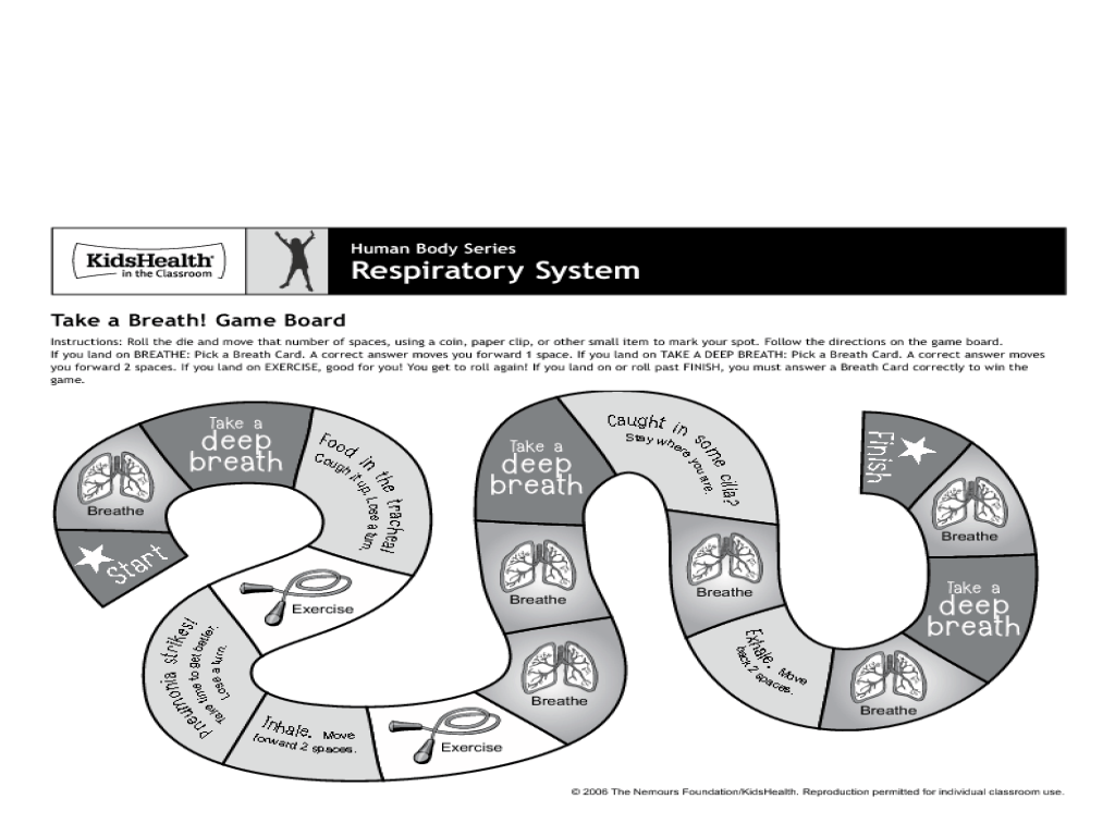 Worksheets on the respiratory system