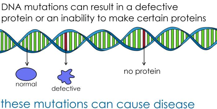 Protein modeling melanin mutations & more