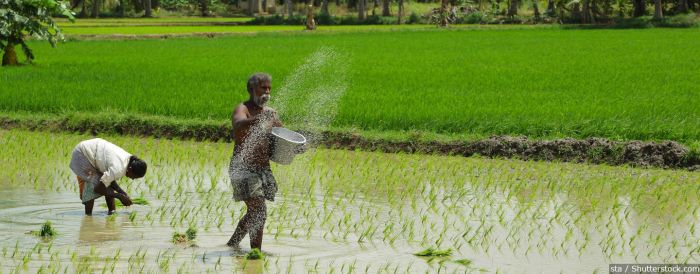 Describe the type of farming used in the swampy lowlands.