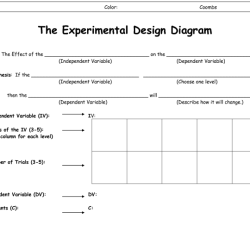 Experimental design scientific method worksheet