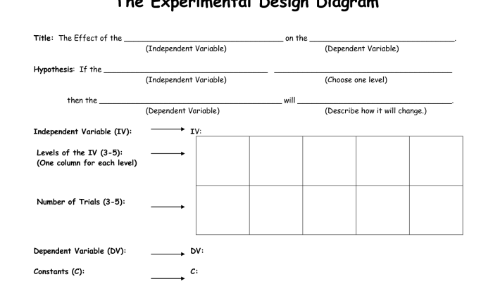 Experimental design scientific method worksheet