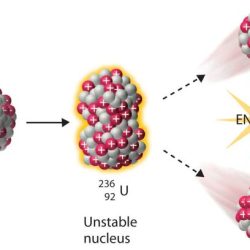 Uranium-235 undergoes the following fission process after absorbing a neutron