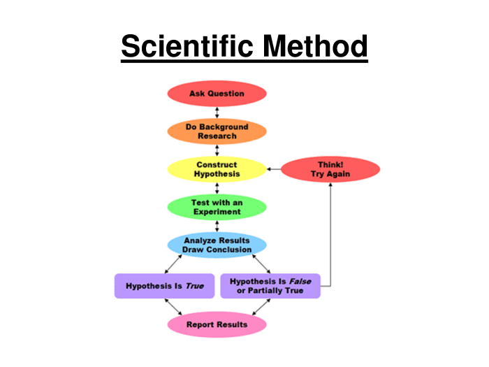 Experimental design scientific method worksheet